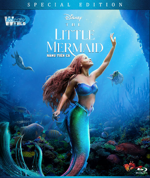 B5812.The Little Mermaid  2023 - NÀNG TIÊN CÁ  2D25G  (DTS-HD MA 7.1 - ATMOS 5.1)